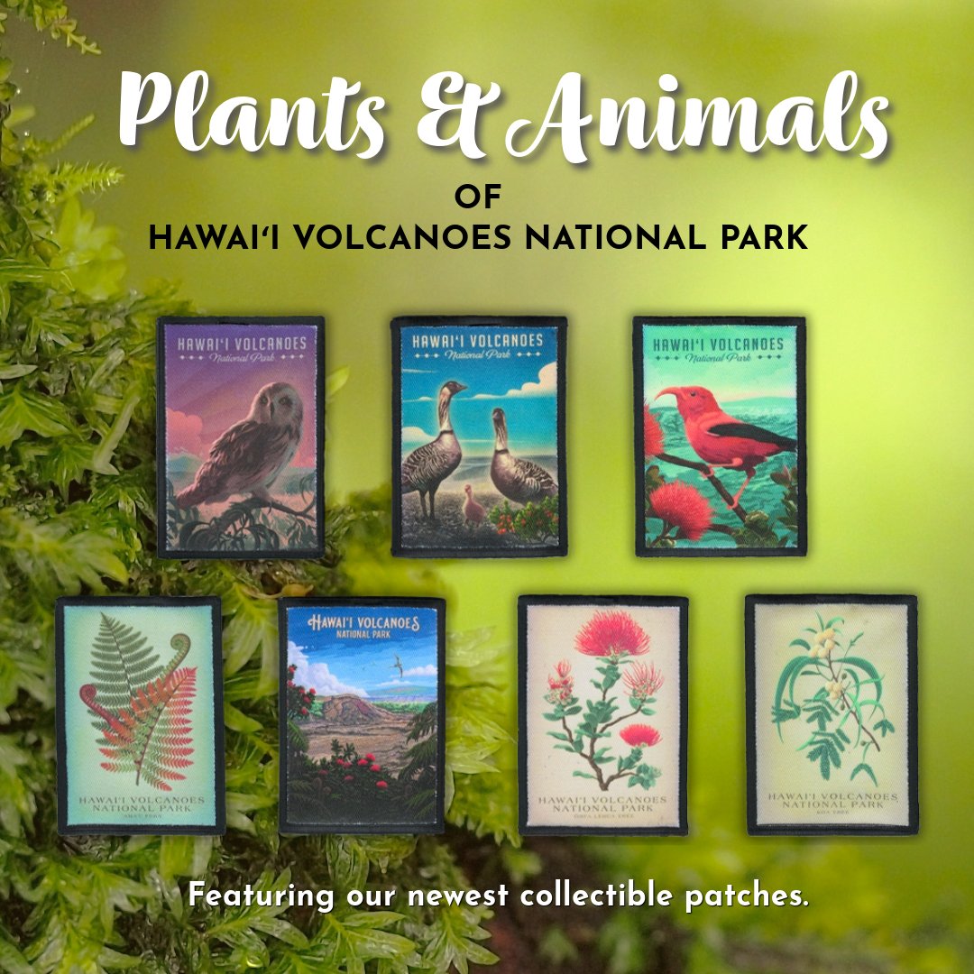 Collect these brand new patches celebrating native birds, native plants illustrated in a vintage botanical style, and a beautiful view from the Kīlauea Iki trailhead.
Show your love with these newest patches!
#hawaiipatches #hawaiiparks #shopyourpark
Shop: shop.hawaiipacificparks.org