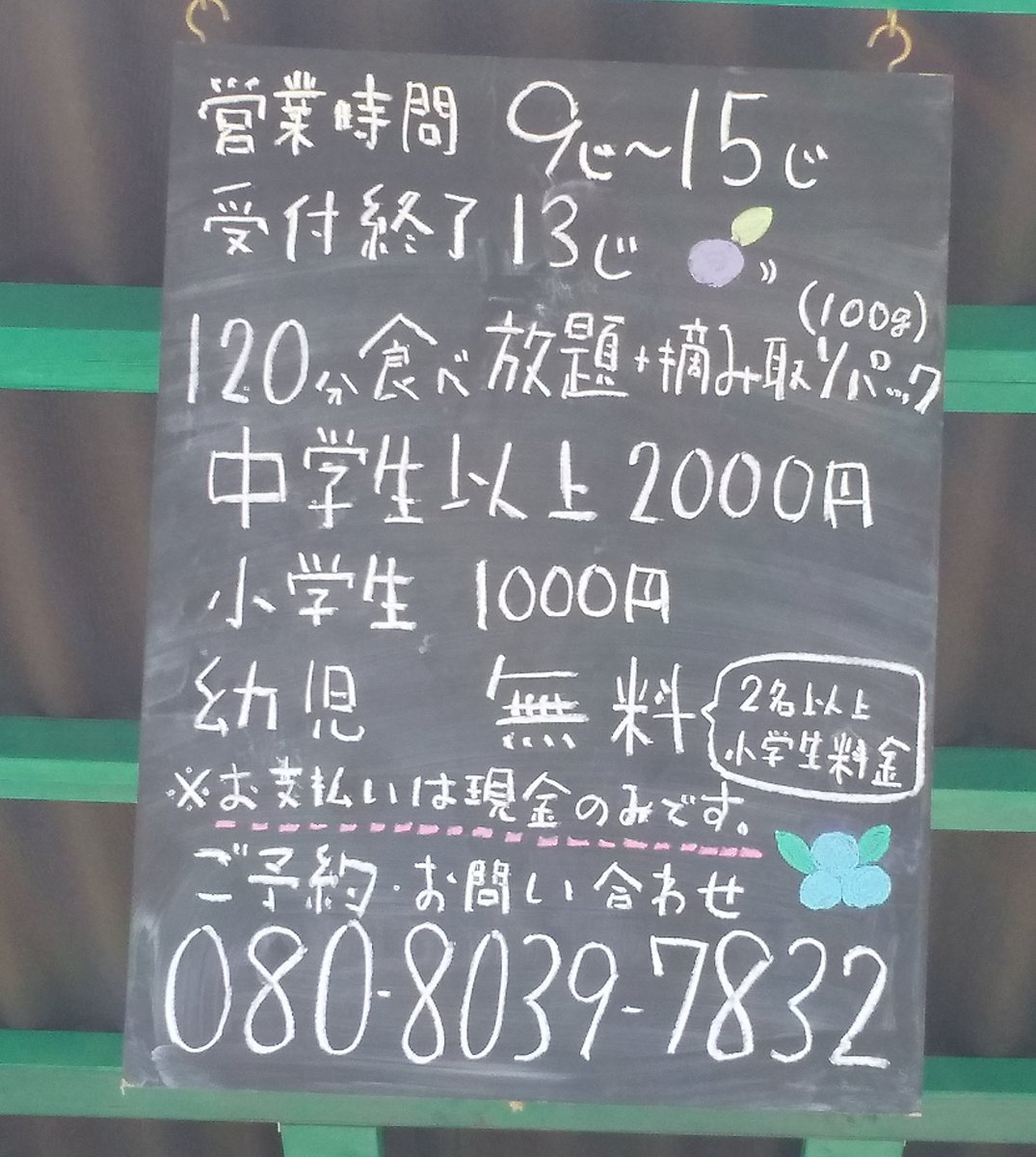 #あーみんの森 #ブルーベリー⁡ #ブルーベリー狩り #千葉県 #佐倉市  #佐倉市ブルーベリー狩り  #千葉県ブルーベリー狩り #千葉県観光スポット  #夏 #夏休み #観光  #半日観光  #レジャー #京成佐倉駅  #駅から徒歩10分