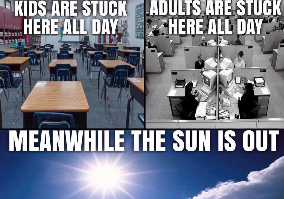 ⚡️🌞 Sol Brah 🌞🐬 (@solbrah) on Twitter photo 