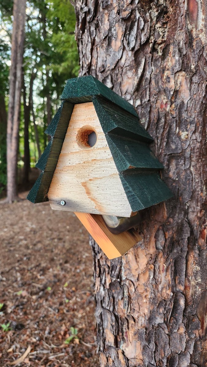 ForwardOnPlants's tweet image. While I was down by Lake Norman for the weekend, I went for an 8-mile run, and grabbed a #geocache along the way. Totally forgot that it was #internationalgeocachingday! Got the souvenir. #geocaching