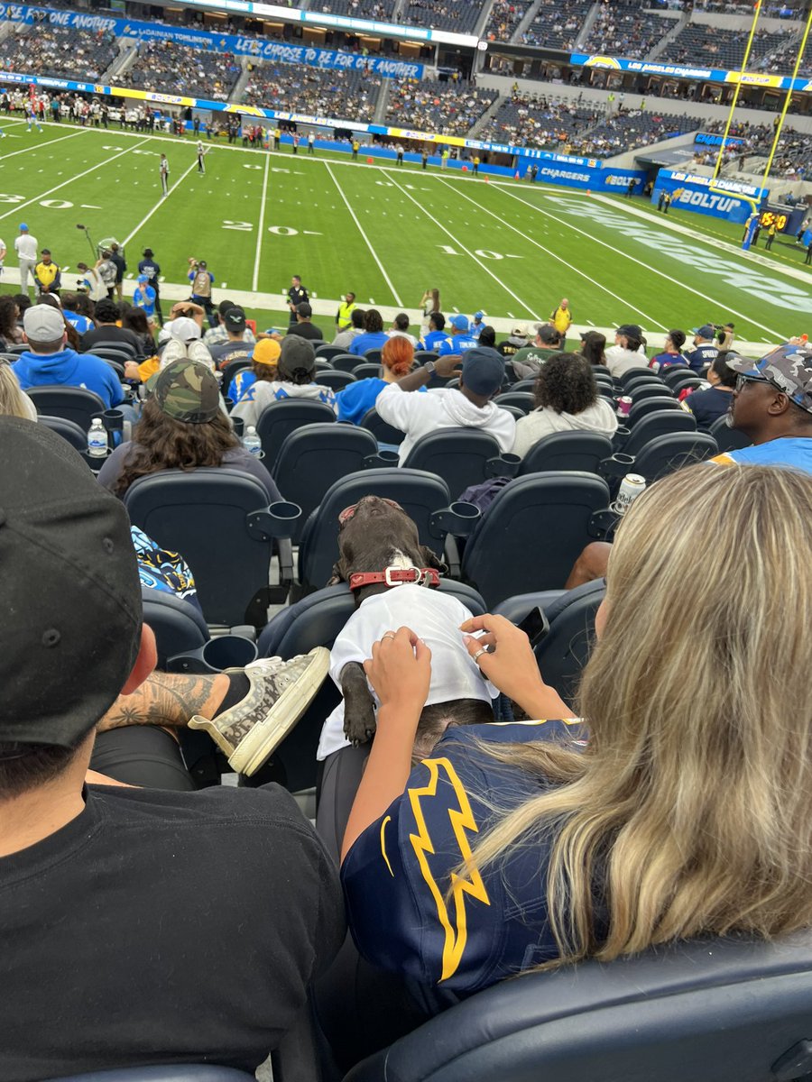 Hurricane Hilary ✅
Earthquake ✅ 
Frenchie at the #Chargers ⚡️ game getting a massage ✅

The apocalypse is definitely upon us 👹🤘🏼