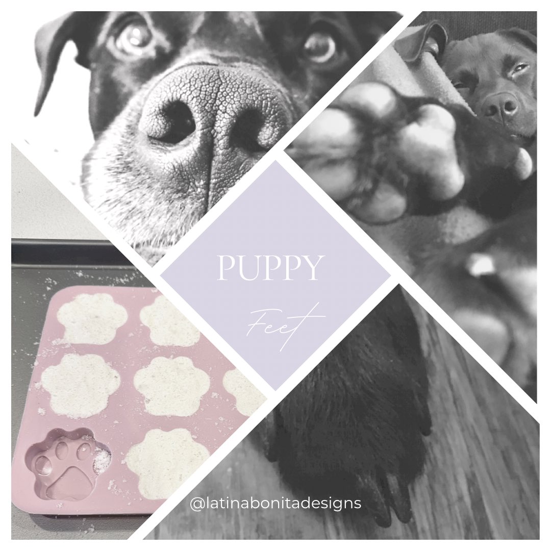 Puppy Feet are kids bath bombs with all natural ingredients. Get yours now!

#bathbombs #allnaturalingredients #smallaccountsmatter #smallbusinessowner #mombusiness #kidsbathbombs 

etsy.com/shop/LatinaBon…