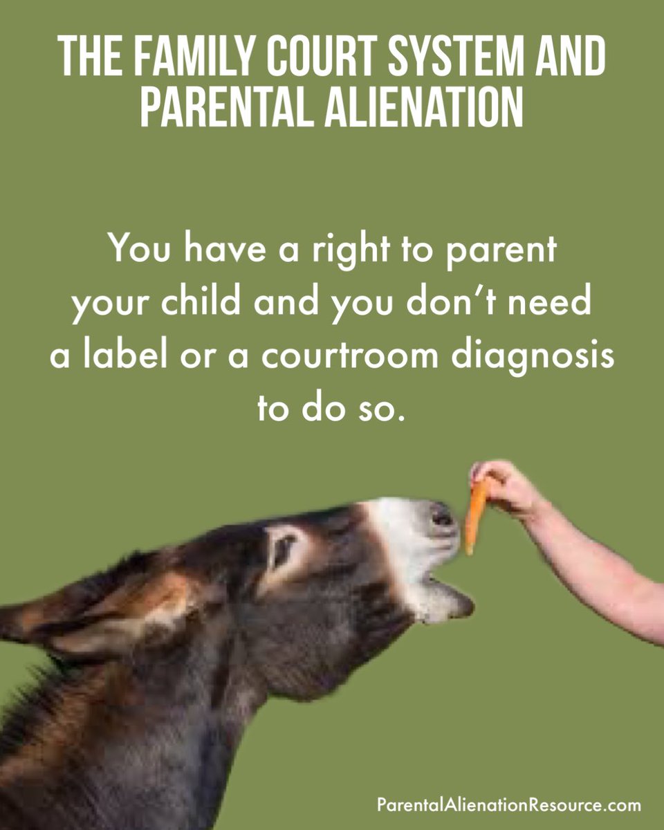 #narcissist #narcissisticparent #narcissisticrelationship #parentalalienation #alienatedparents #alienatedparent #ProtectingChildren #ChildrensRights #EndingtheCycle #1stammendment #14thamendmendment  #civilrightsmovement #declarationofindependence #contitutionalright