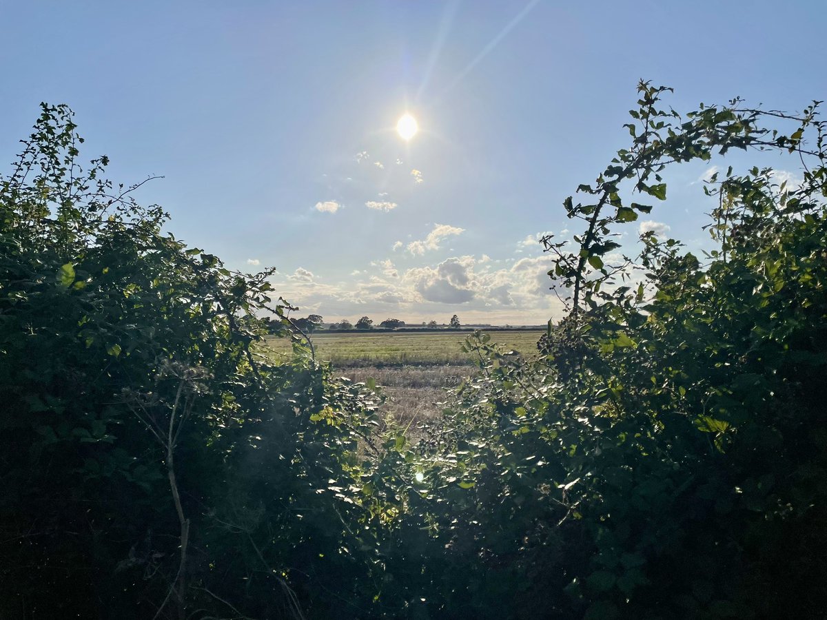 Ellie Whyte tweet media