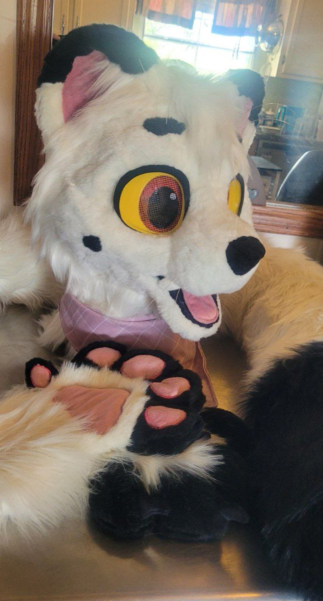 MarsaOvO's tweet photo. looking to open 1-2 fursuit sl0ts for MFF completion.

 Partials only 
Birds get priority 

dm with interest https://t.co/zO6rrr7hB1
