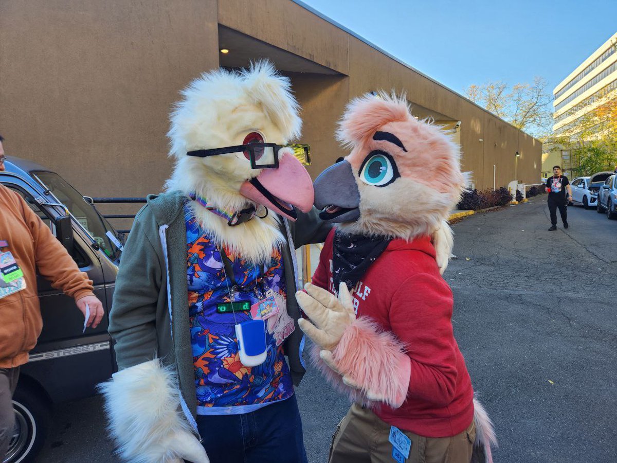 MarsaOvO's tweet photo. looking to open 1-2 fursuit sl0ts for MFF completion.

 Partials only 
Birds get priority 

dm with interest https://t.co/zO6rrr7hB1