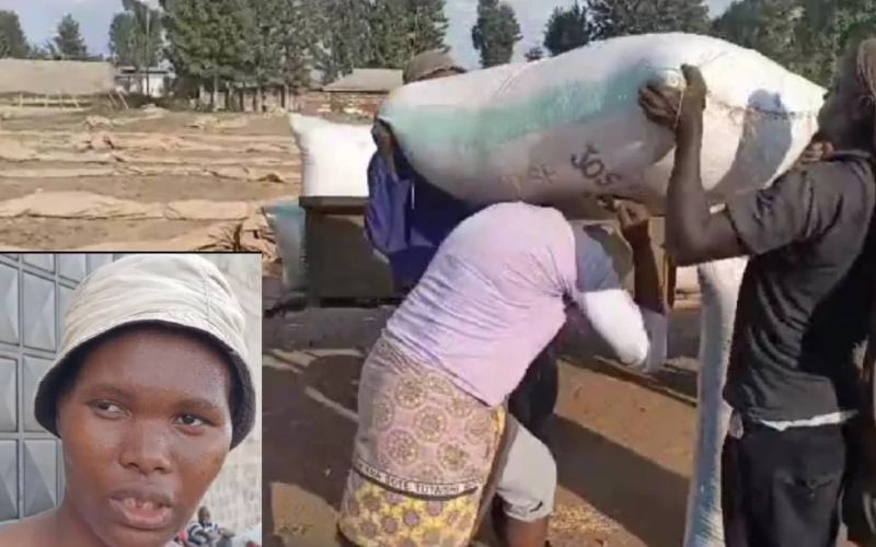citizentvkenya's tweet photo. Kirinyaga woman earns a living carrying 60kg rice bags on her back https://t.co/X6kgJ8BSex https://t.co/wo28Iv6Lg4