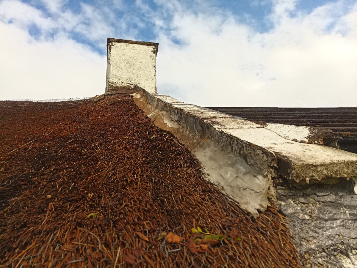 @NIPSO_Comms @OmaghSinnFein @BelTel_Business According to the #HEDNI #ThatchConditionSurveyNI this Listed cottage is in 'good condition', the brown stains running down the walls for the last 5 years say different but worse still, is the damage the unsightly leaks are doing to the ancient bog oak roof. #HARNI  #SystemFailNI