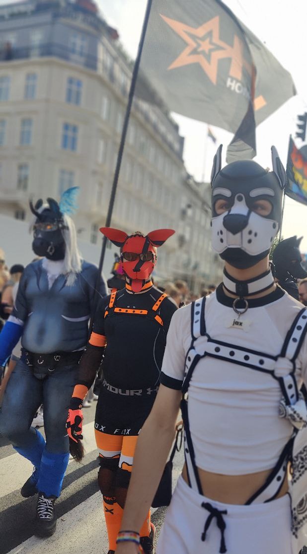 zebnine's tweet photo. Got to be a pony at #Copenhagenpride this year, along with @HomowareDK's group, carrying their flag for the whole run, I think I ponied for a whole 8 hours! And I didn't die!

#ponyplay #pride #sfw #kinky https://t.co/p27TyerRMF