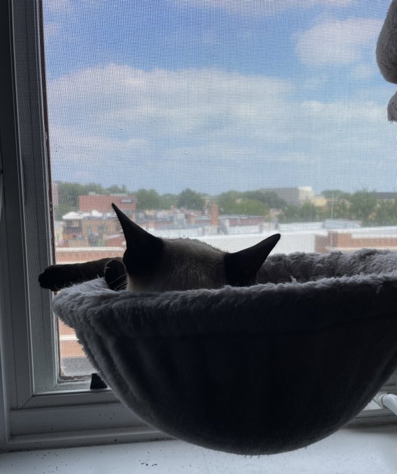 Now that&rsquo;s the life. https://t.co/GV1CfOO5FD<a href="/tag/roadhousemovie"class="tags"><span>#roadhousemovie</span></a>