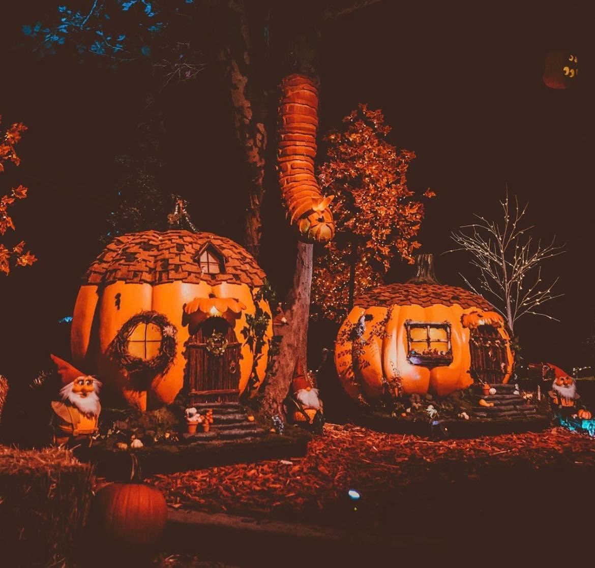 DallasTxEnt's tweet photo. Pumpkin Nights opens September 21st! You can walk through a village made of 5,000 glowing pumpkins now until Oct 30. 🎃 https://t.co/Y0gVZHekJi