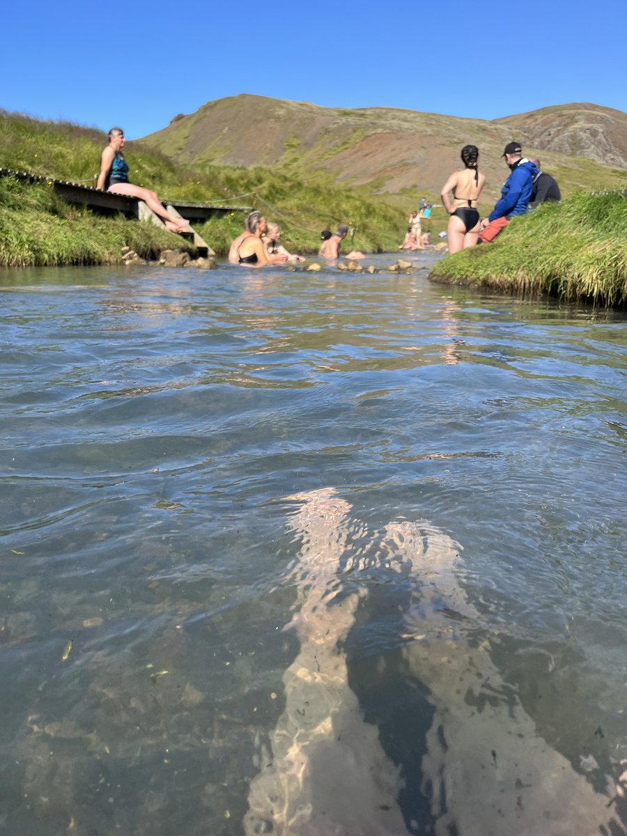 Lois Mackenzie tweet media