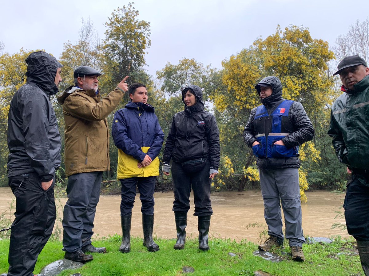 ChillanOnline tweet media