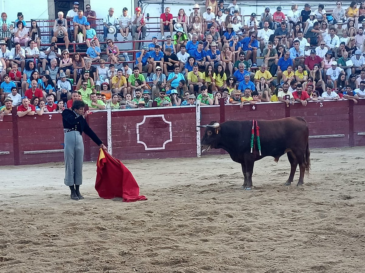 MarketingToros's tweet photo. Lumbrales (Salamanca) 20/8/2023. Festival. Novillos de Adelaida Rodríguez, muy serios y muy duros. https://t.co/uk1bgk2sAU