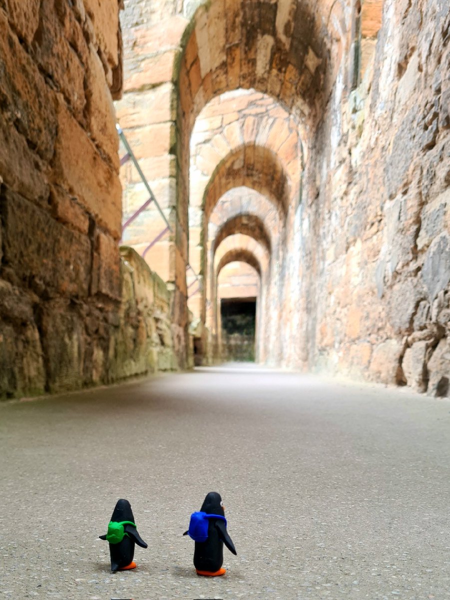 Today we went to Linlithgow Palace. It might be a ruin, but it's an amazing place with loads of history. Me and my little brother had a lot of fun exploring as much of it as we could!

#glasgow #glasgowpenguins #thepenguinsinthewall #linlithgowpalace @HistEnvScot @VisitLinlithgow