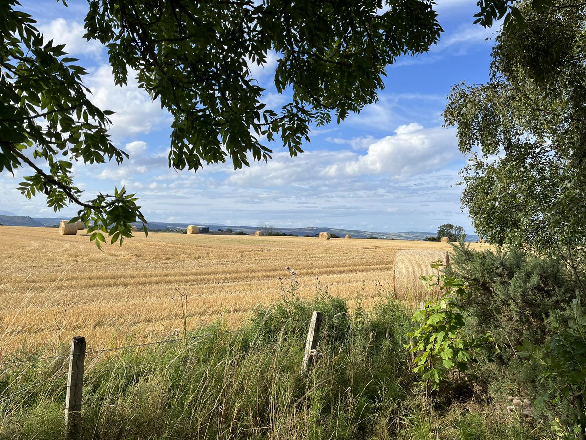 cathybeat's tweet photo. I love hay bale time! #autumniscoming #harvest #scottishhighlands https://t.co/Up8yR4uJvx