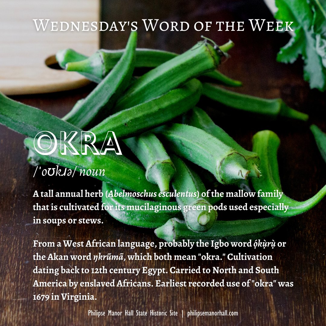 PhilipseManor's tweet photo. It's Wednesday's #WordOfTheWeek! Today's word is #Okra, introduced to the Americas by enslaved Africans.

#WordNerd #Etymology #Africa #AfricanLanguage #AfricanFoodways #Slavery #NorthernSlavery #FoodHistory #PhilipseManorHall https://t.co/jKMGdDXeMa