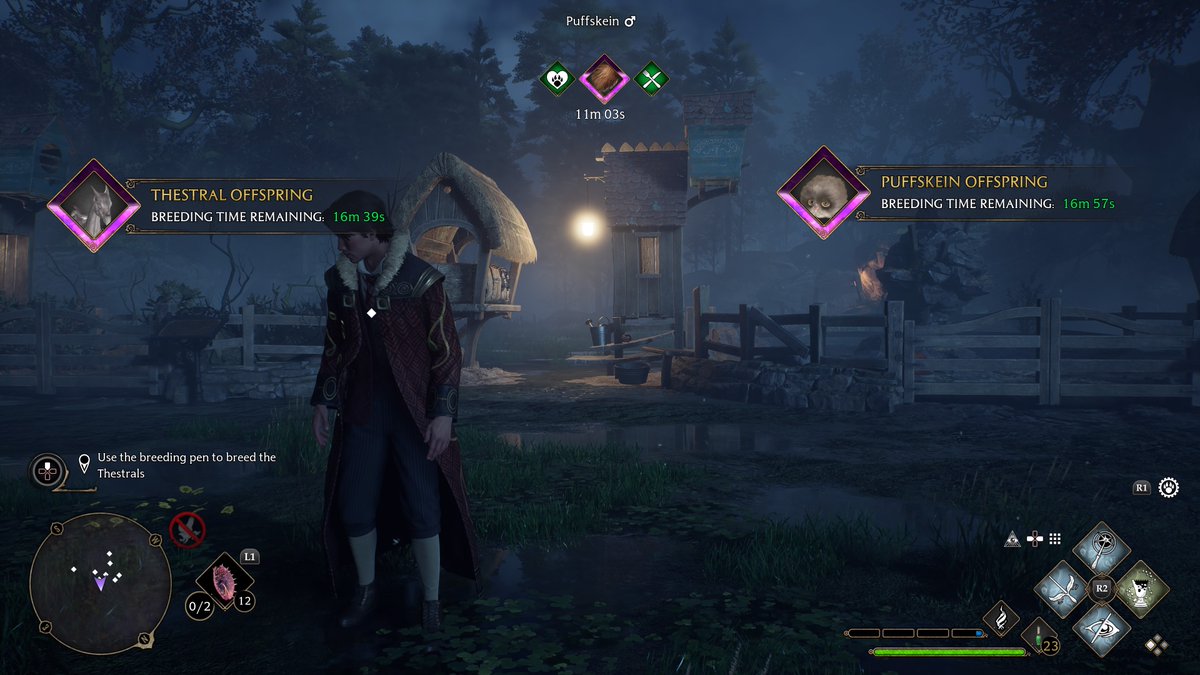 battygriffin's tweet photo. #PS5Share, #HogwartsLegacy https://t.co/cOC2AoIWBq