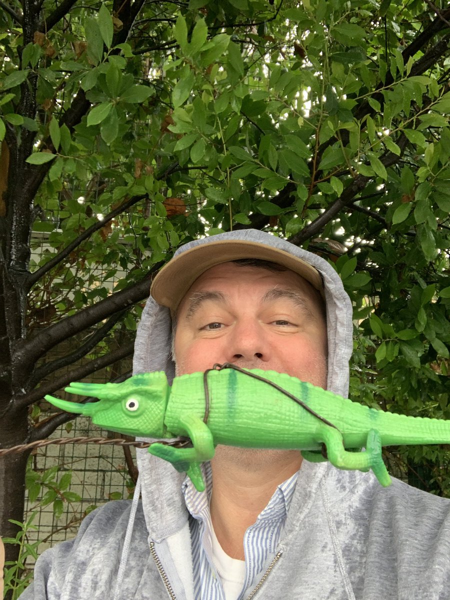 GasStationTuna's tweet photo. I just grabbed a fun Traditional cache that I caught staring out at me from the greenery!
#WheelOfChallenges #IconicCacher
Traditional Cache β
Adventure Location
Event Cache β
Virtual Cache
EarthCache
Multi-Cache β
Mystery Cache β
Letterbox Hybrid β
#geocaching https://t.co/WFwoKSyNMB