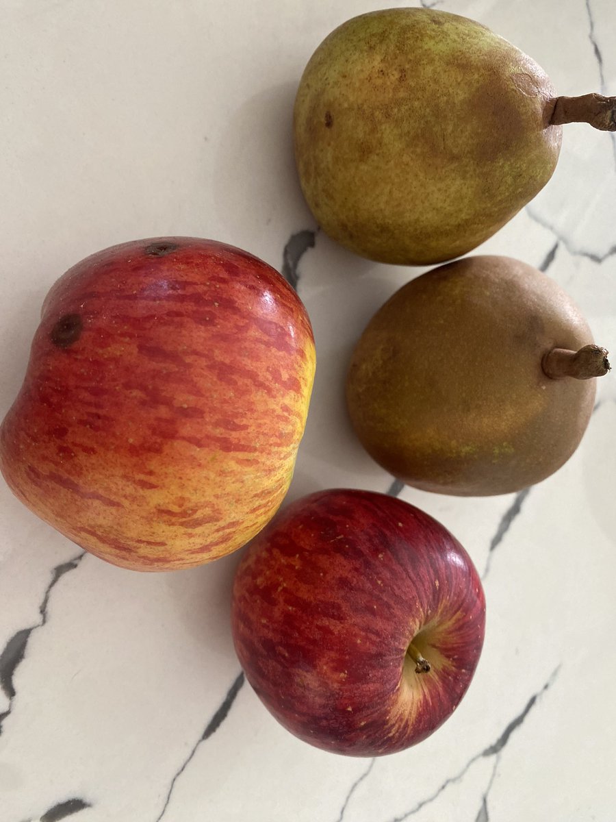 Maryanne Rodriguez tweet media