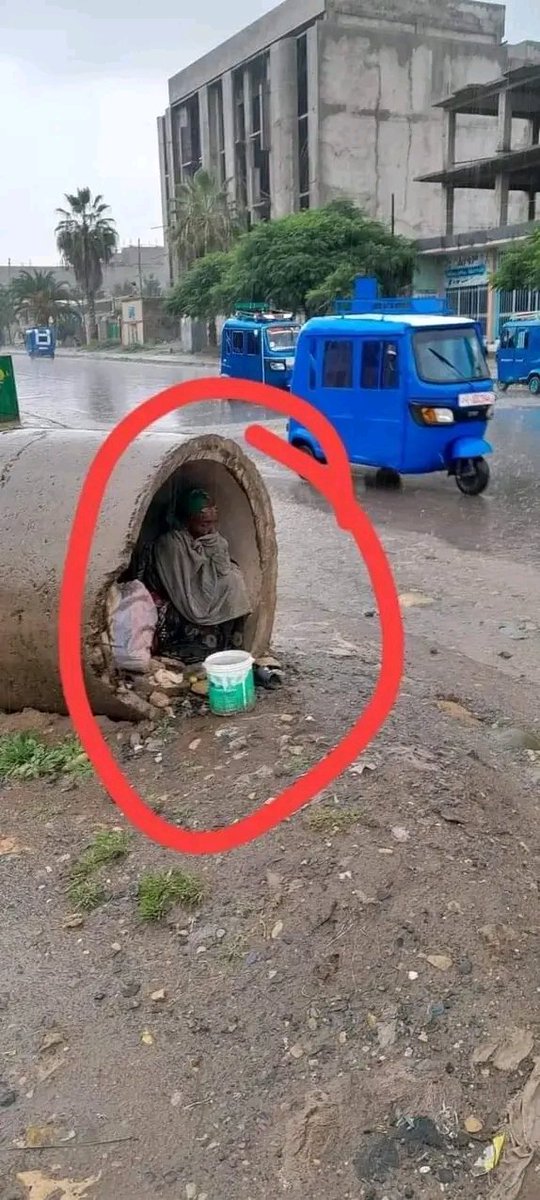 Great_tgray's tweet photo. Where are the #humanitarians?
Our lovely mothers are suffered ‼️
Return to their homes 
#UN #UK #EuropeanParliament @WhiteHouse @SecBlinken @POTUS #EuropeanUnion #UnitedNations #UNHRC #UnitedStates #UNHRC51 #UNGA #EU @PowerUSAID
#EritreanOutOfTigray 
#AmharaOutOfTigray
 #ዓሕ https://t.co/a17MUAeE9a