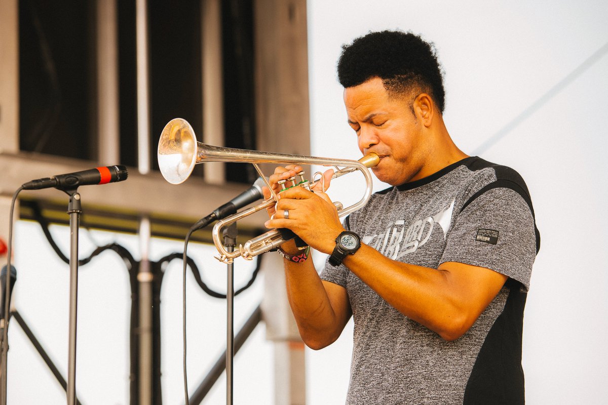 Catbird Music Festival tweet media