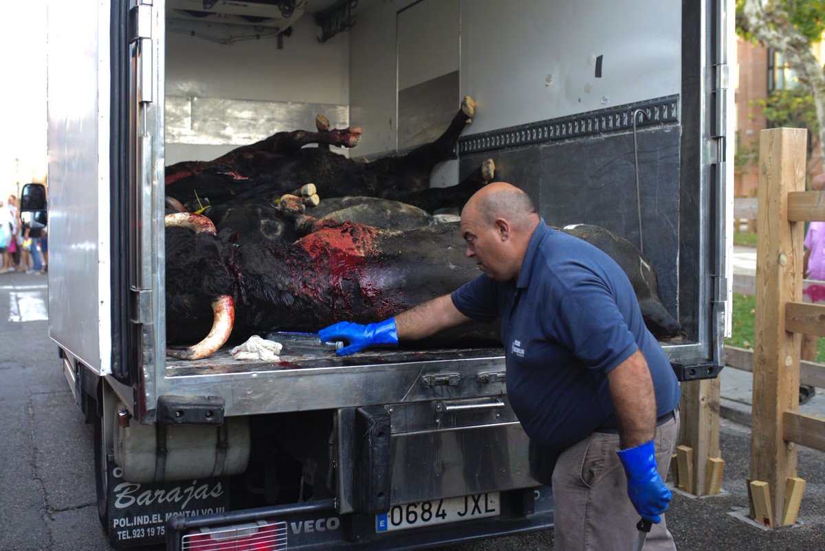 EmilioFraile's tweet photo. a lo que él ha respondido pidiéndome que me identificara. Ha tomado mis datos y ha llegado un policía municipal del @Toro_Ayto con la misma cantinela. Su razón era que le parecía de mal gusto. La foto en cuestión es esta: unos toros apilados en un camión después de una corrida. https://t.co/ipnx1G3eM7