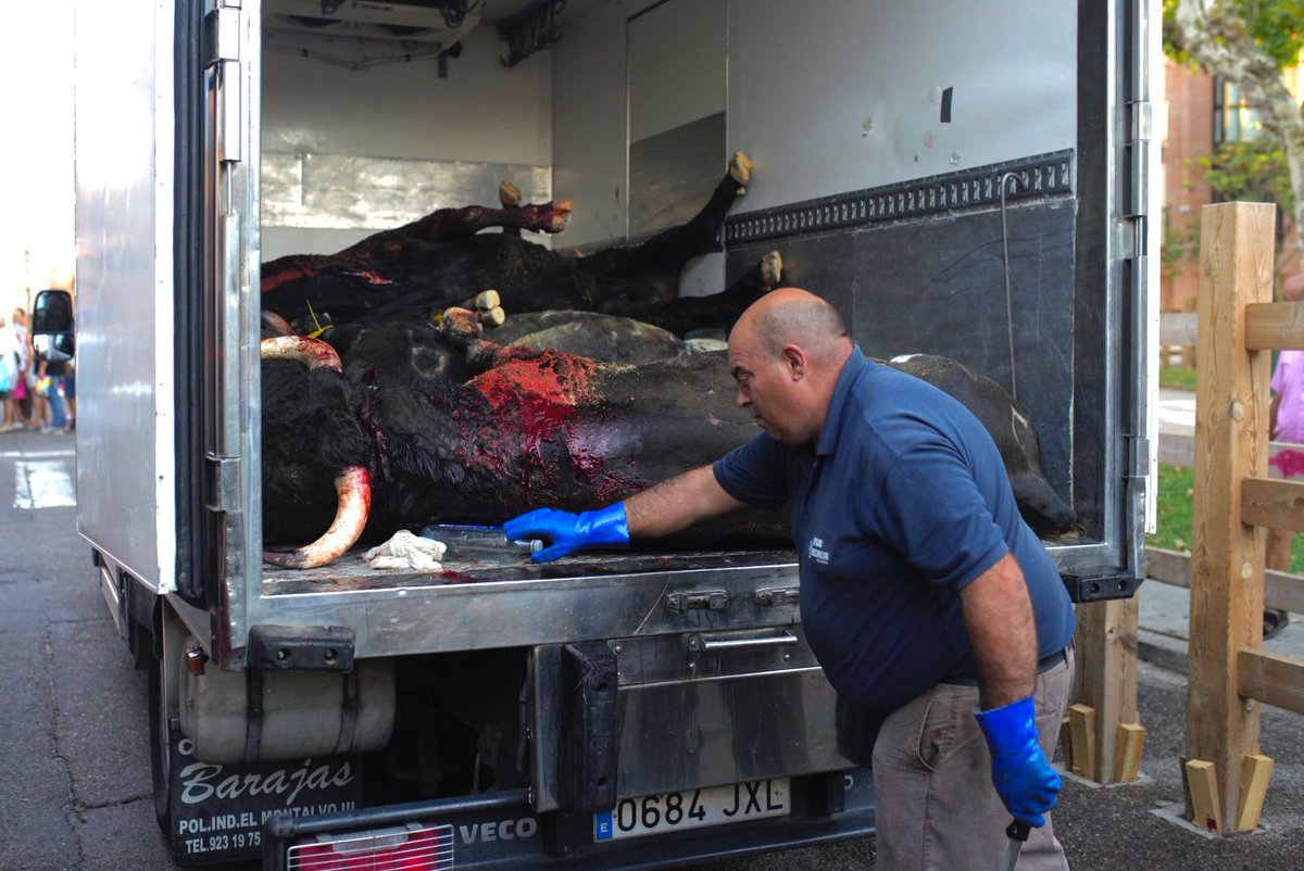 Al fotoreportero <a href="/EmilioFraile/">Emilio Fraile</a> le han tomado los datos un guardia civil y un policía municipal de Toro (Zamora) por fotografiar esta escena, en un espacio público como la calle, tras una corrida.
Ni un paso atrás frente a quienes intentan limitar el libre derecho a la información