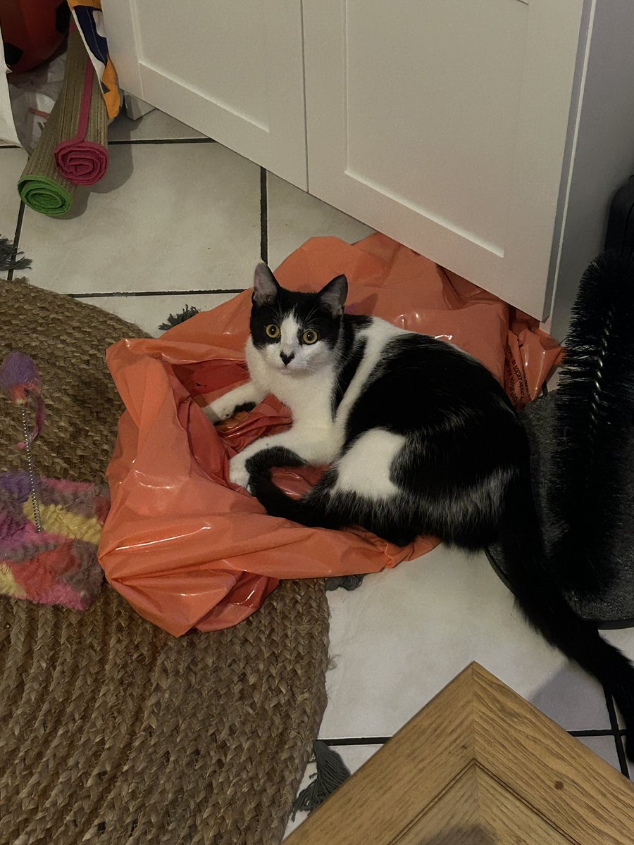 Fatkky's tweet photo. Rien de mieux qu’un encadrement de porte et une bouée pour un max de confort https://t.co/s1Qy7zgqP0