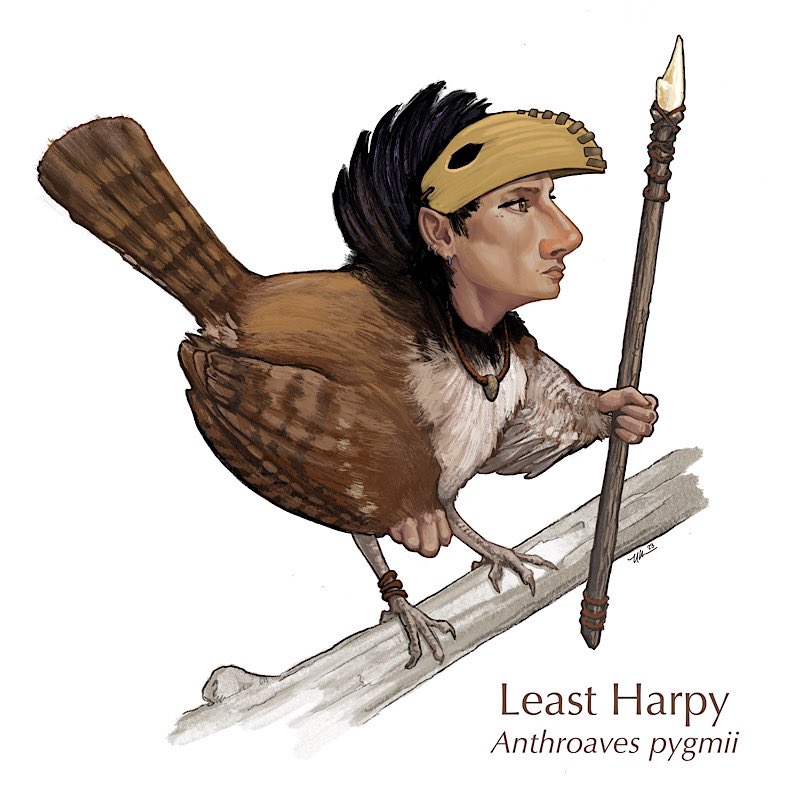 Kingfisher & Wombat tweet media