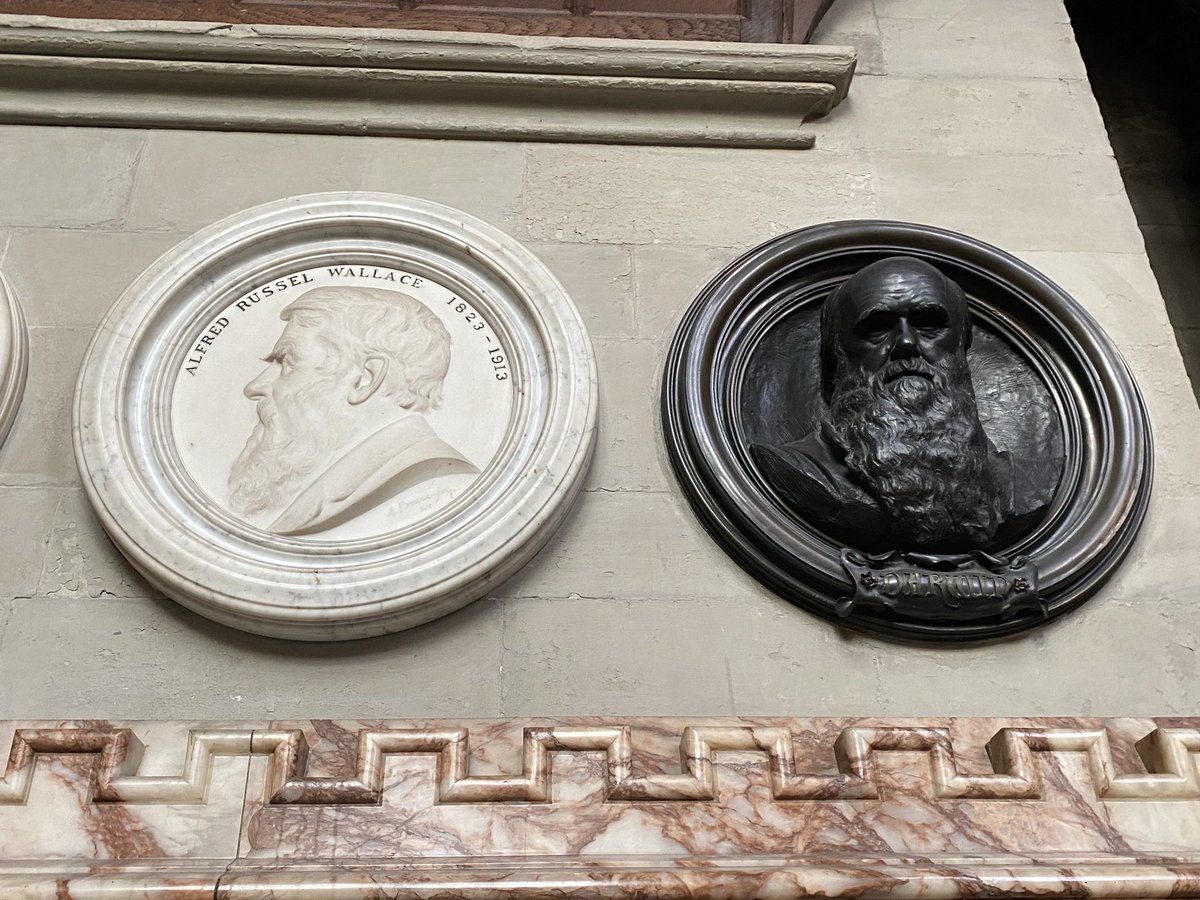 Tammy Fay tweet media