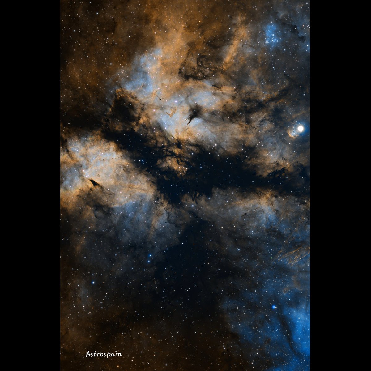 spainastro's tweet photo. IC 1318 Nebulosa de la mariposa en Sadr 

El primer procesado de este verano, 20H de integración total en SHO 
Para realzar las zonas más atenuadas de la foto, contiene mucha información y es fácil sobre exponer y quemar el objeto https://t.co/JzxPDubBi5