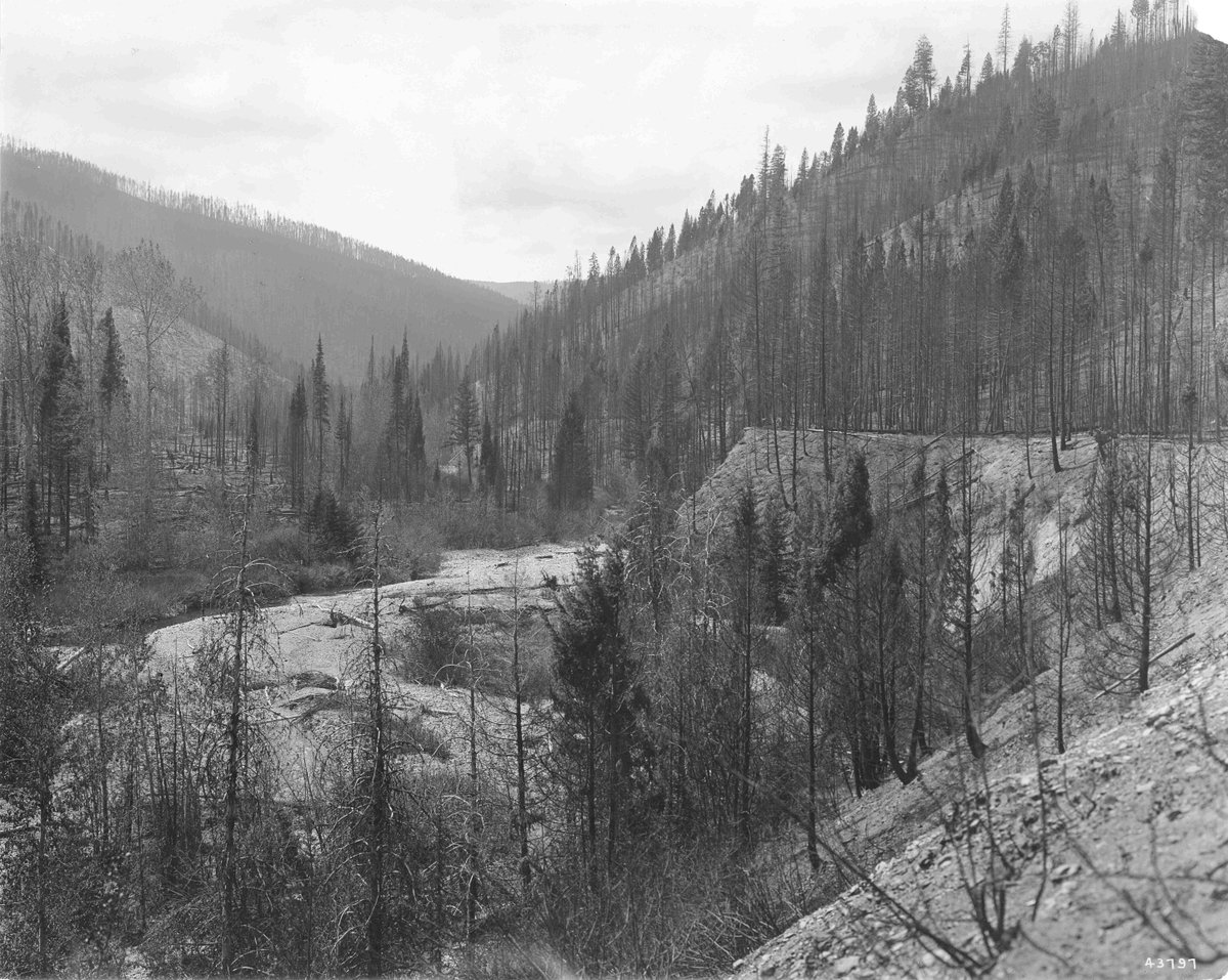 BLMFire's tweet image. During the 1910 fire season in the Northern Rockies, it was an unprecedented challenge for the @forestservice. Record drought conditions combined with a powerful lightning cycle aided in #TheBigBlowup on Aug. 20, 1910. To learn more, visit - bit.ly/304cMBg