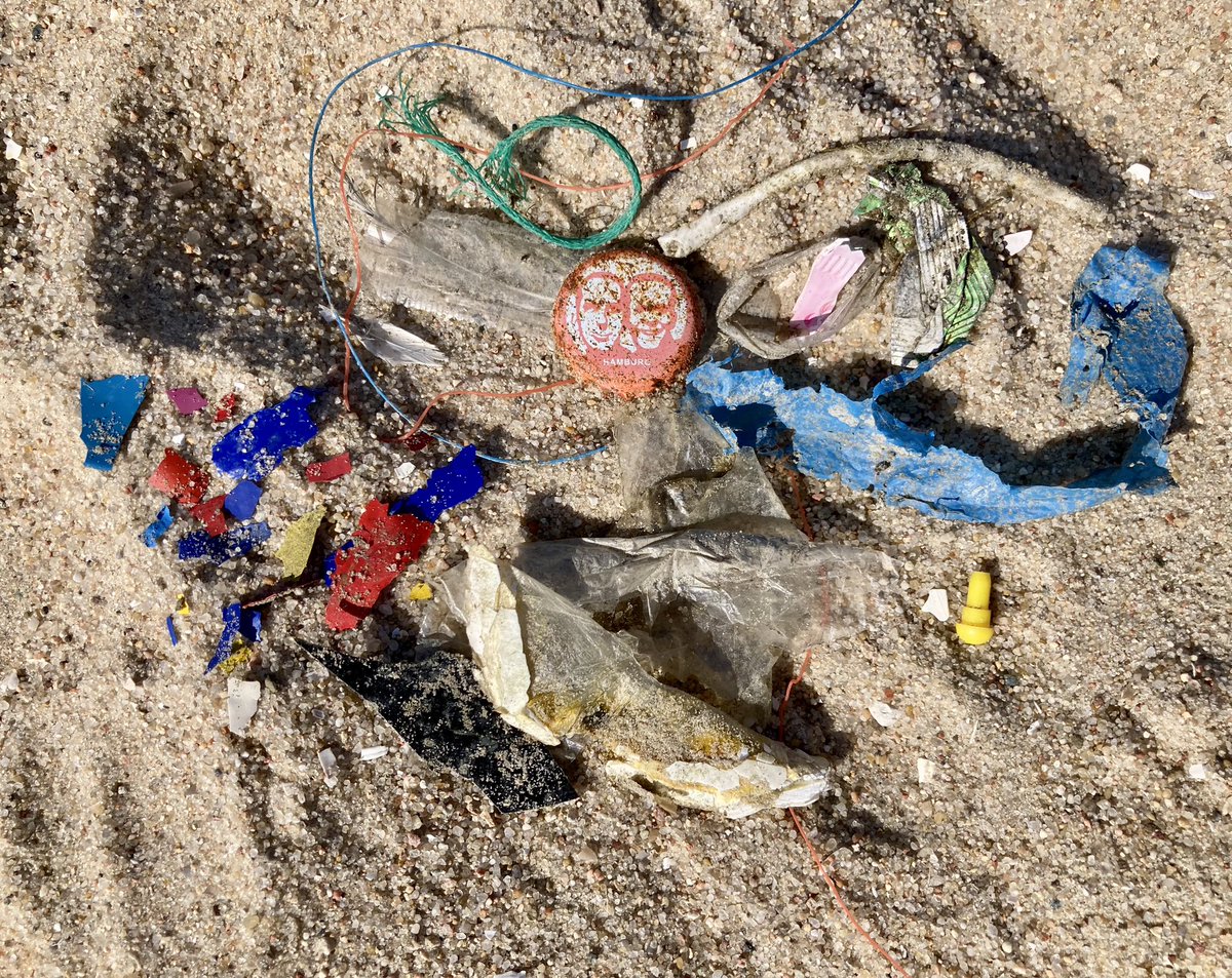 💔 I found so many small particles of what I suspect to be ship paint #microplastics and mesoplastics at the beach of #Duhnen, #WaddenSea! Irretrievable. And Dollyrope. We need to address these sources of #plastic pollution!