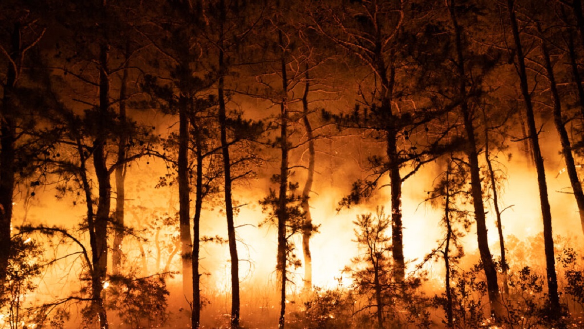 Over 14,400 firefighters are battling 93 wildfires on 626,755 acres in 16 states across the United States. Six new large fires were reported yesterday, two in Mississippi, plus one each in California, Idaho, Montana & Washington.

@DNC  @RobertKennedyJr @CrisisWatch_WWF @foe_us