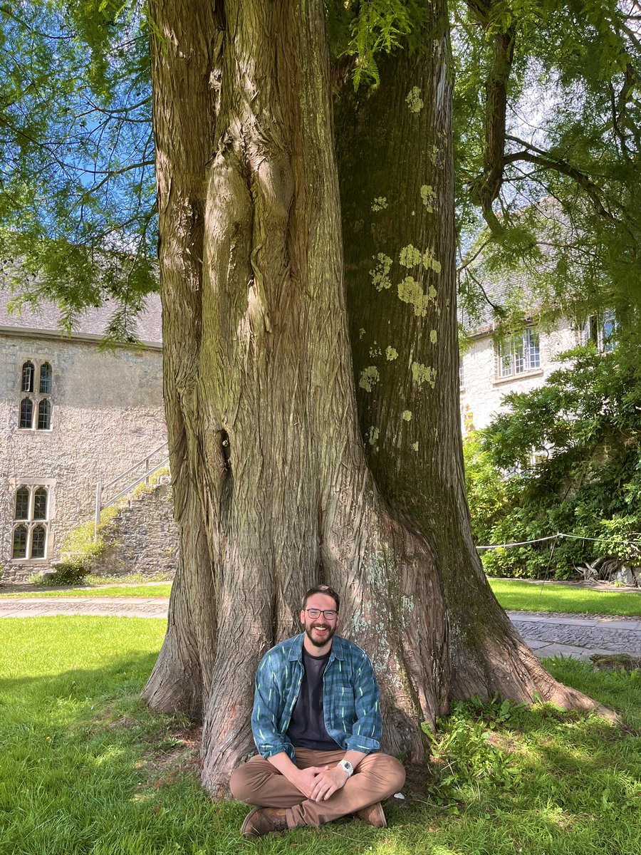 Thinking about music and trees ( 📸 by <a href="/sarahpiano/">Sarah Nicolls</a> )
