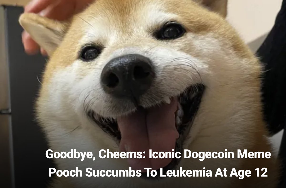 LarkDavis's tweet photo. Farewell creature. Your name will live in infamy long beyond your years. https://t.co/fbI6Tk7XEv