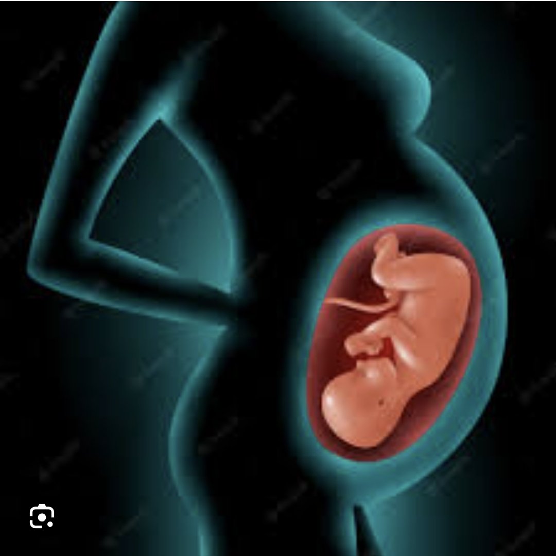 mapipimakuru's tweet image. This is the last mile, counting the days to a newborn, newZimbabwe where there are jobs for the youth, thriving industry, no corruption, infrastructure development, rule of law, respect for human rights, low inflation,  functioning health system, Zimbabwe #ForEveryone #votewisely