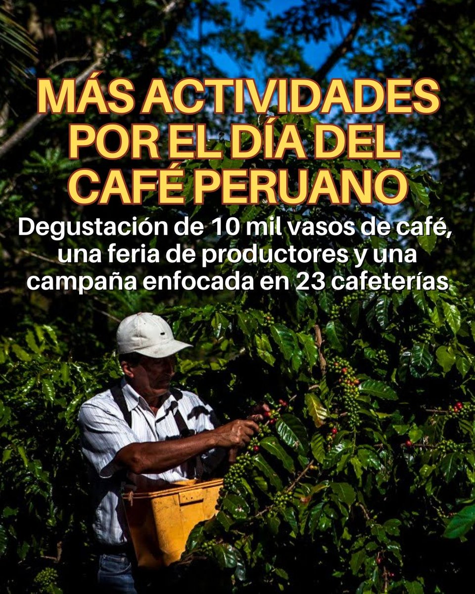 cafelab.pe tweet media