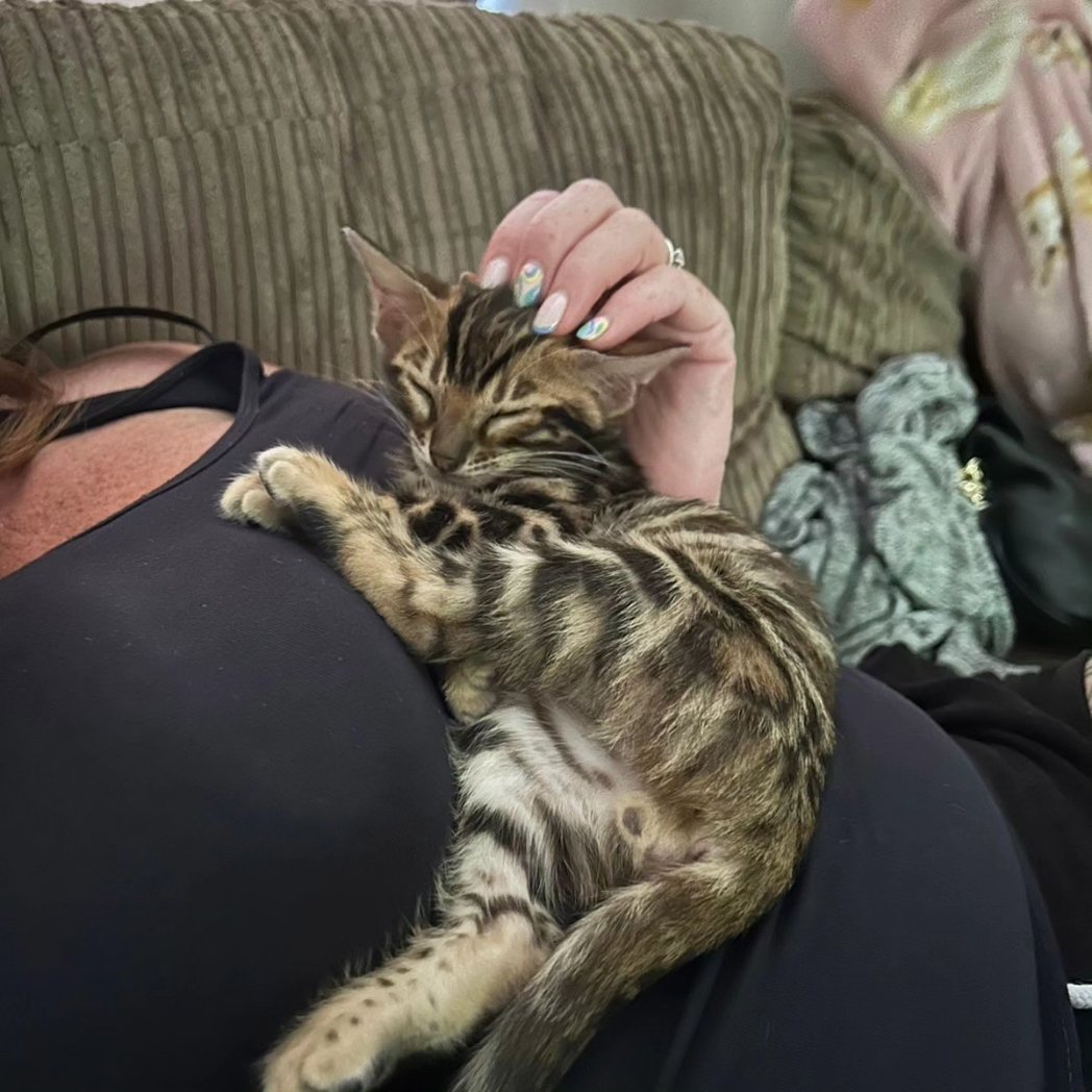 🕊🤍 tweet media