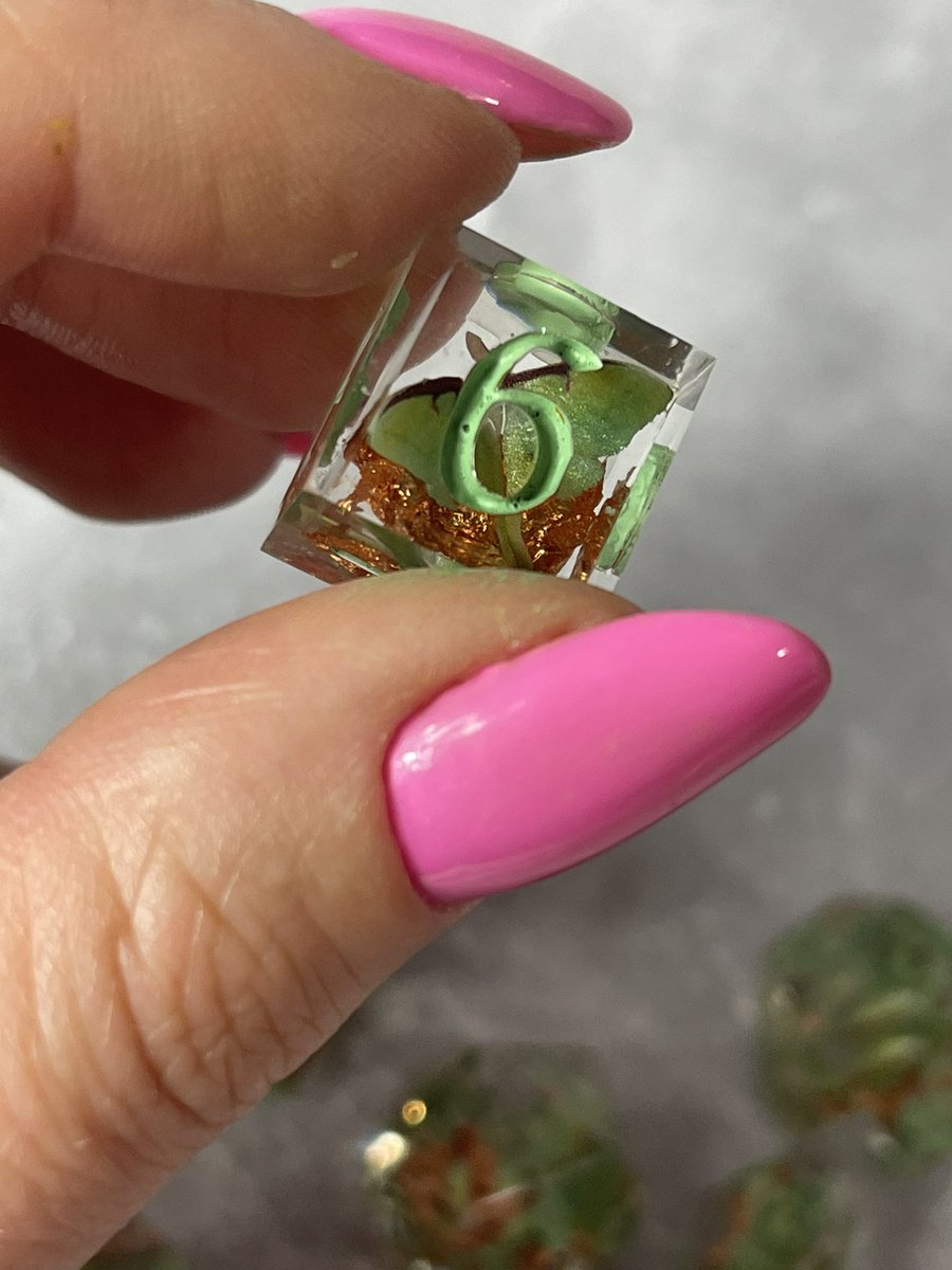 MageStudio's tweet photo. Luna Moth dice https://t.co/MUItCyzAMB #lunamoth #dice #d20 #resindice #magestudio #magestudiodice #handmadedice #dicemaker #dnd #dungeonsanddragons #rpg #tabletop #dnd5e #resin #resinart #diceart #kości #erpegi #dungeonmaster #dnddice #criticalrole https://t.co/spn4gYF9hf