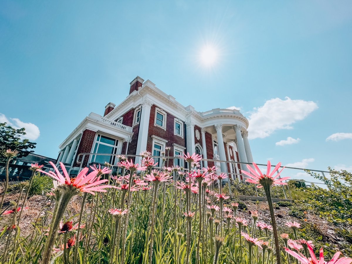 “This morning, the sun endures past dawn. I realize that it is August: the summer’s last stand.” – Sara Baume

📸 : @huntermuseum