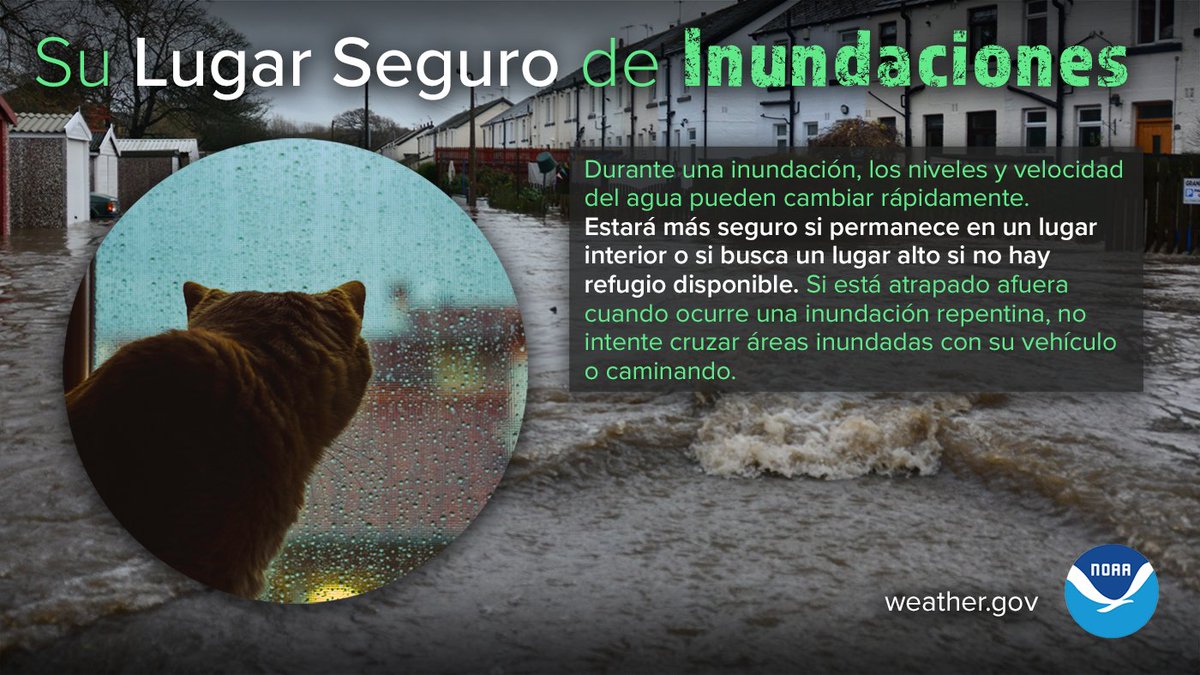 FEMAespanol's tweet photo. Si recibe un aviso de inundación, quédese adentro y diríjase a un piso más alto. Evite el nivel más bajo de edificios, sótanos y carreteras inundadas. NO vaya a un ático para que evite quedar atrapado por el aumento de las aguas de inundación.

Más: https://t.co/DFQcDg78ov https://t.co/sD1Kjfw2HB