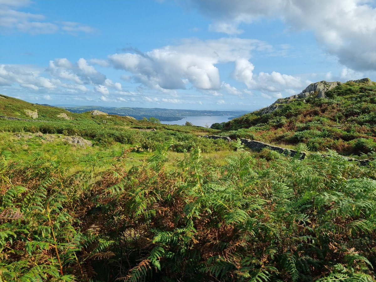 penny_short's tweet photo. An amazing day on #HadriansHighway. Eskdale to Ambleside today, a Cumbrian Spritz this morning (small amount of rain) to refresh us, a gentle breeze and then sunshine and views. Splendid ๐โ๏ธโค๏ธ https://t.co/rAINdevx8M