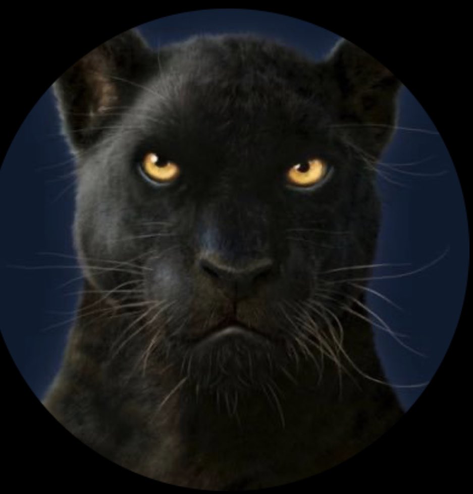 South Tampa Panthers is looking forward to Miss Tampa this fall. Games Start on 9/11. Be on the lookout for our meeting to welcome new players that wish to tryout and play this fall.
<a href="/VarsityPlant/">Plant High Varsity Softball</a> <a href="/lcastellvi/">Lauren Castellvi-Donahue</a> <a href="/Lizcano_10/">Ricardo Lizcano</a>