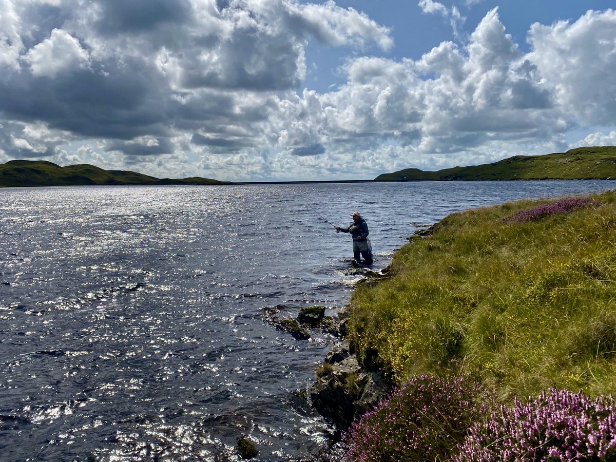 Happiness is a Lyn on a llyn #TeifiPools