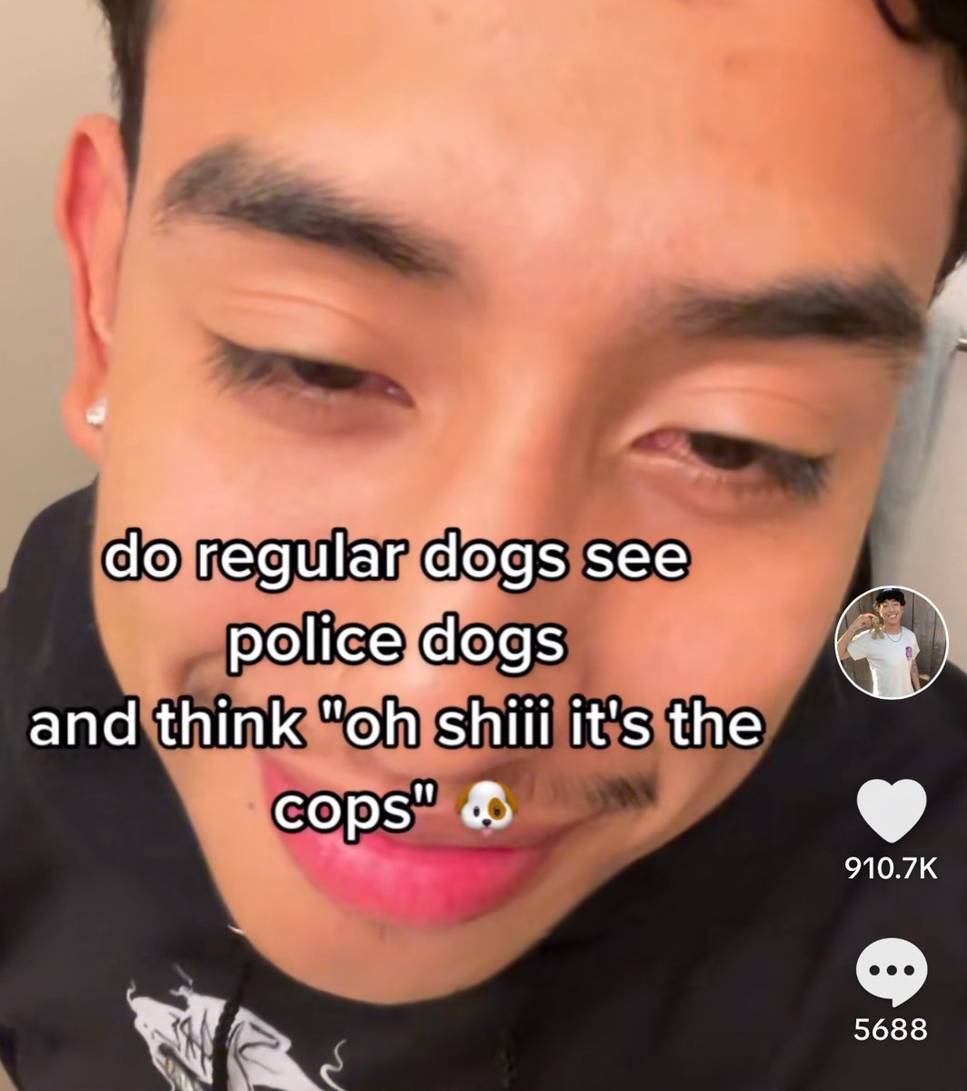 wildtiktokss's tweet image. 