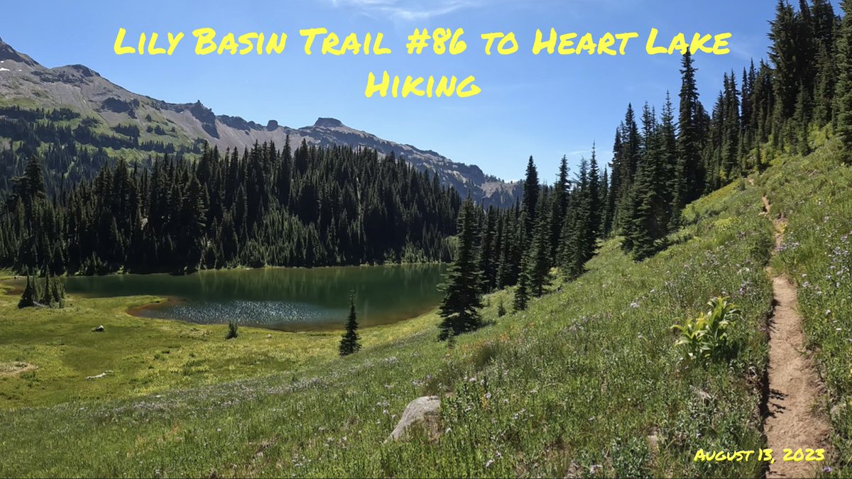 CouleeOutdoors's tweet photo. Lily Basin to Heart Lake is a great sampler of what the Goat Rocks has to offer: rambling forest ridgeline followed by airy, wildflower filled meadows and volcanoes #pnw #hiking #lake #water #forest #salamander #snake #volcanoes #goatrocks #wildflowers 

https://t.co/dYqYcLaNms https://t.co/nCcN3cRw0B