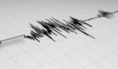 John Palminteri tweet media