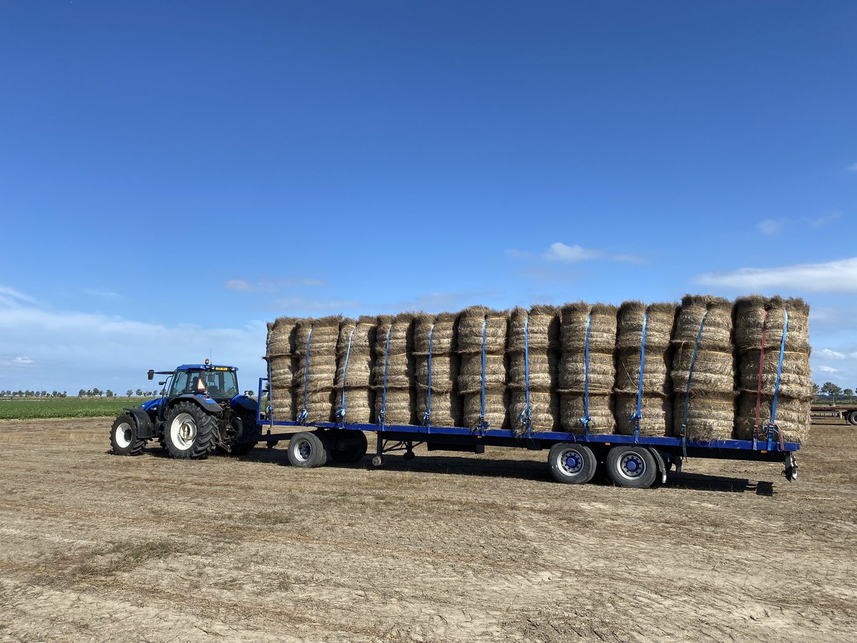 Timmers Agro Service tweet media